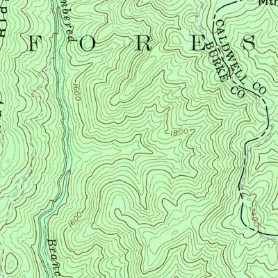 United States Geological Survey Chestnut Mountain, NC (1993, 24000-Scale) digital map