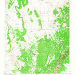United States Geological Survey Chicken Mountain, NM (1964, 24000-Scale) digital map
