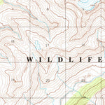 United States Geological Survey Chignik A-3, AK (1963, 63360-Scale) digital map