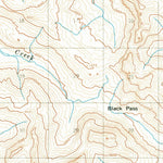 United States Geological Survey Chignik C-1, AK (1963, 63360-Scale) digital map