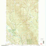 United States Geological Survey Chikamin Creek, WA (2004, 24000-Scale) digital map