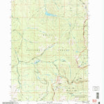United States Geological Survey Chilcoot Peak, ID (2004, 24000-Scale) digital map