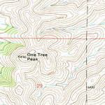 United States Geological Survey Chimney Lake, NM (1965, 24000-Scale) digital map