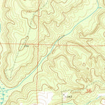 United States Geological Survey China, AL (1971, 24000-Scale) digital map