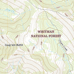 United States Geological Survey China Cap, OR (2020, 24000-Scale) digital map