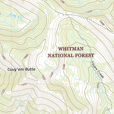 United States Geological Survey China Cap, OR (2020, 24000-Scale) digital map