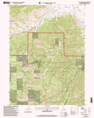 United States Geological Survey China Mountain, CA (1998, 24000-Scale) digital map