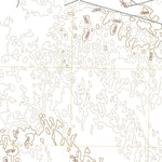 United States Geological Survey China Ranch, TX (2022, 24000-Scale) digital map