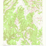 United States Geological Survey Chinaberry Canyon, NM (1969, 24000-Scale) digital map