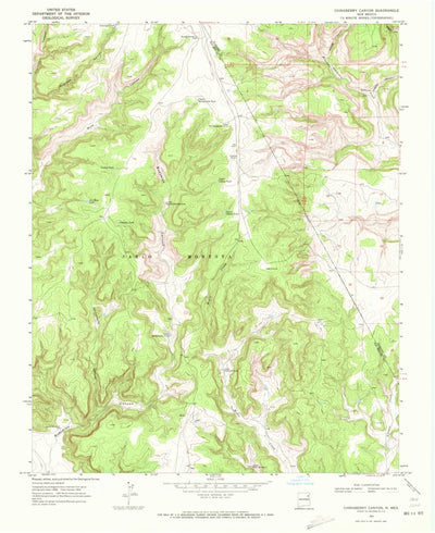 United States Geological Survey Chinaberry Canyon, NM (1969, 24000-Scale) digital map