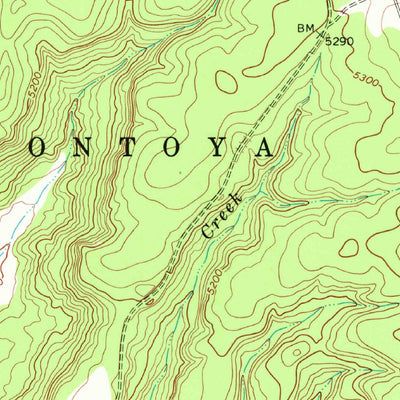 United States Geological Survey Chinaberry Canyon, NM (1969, 24000-Scale) digital map
