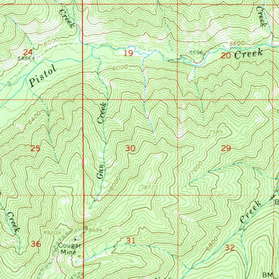 United States Geological Survey Chinook Mountain, ID (1961, 62500-Scale) digital map