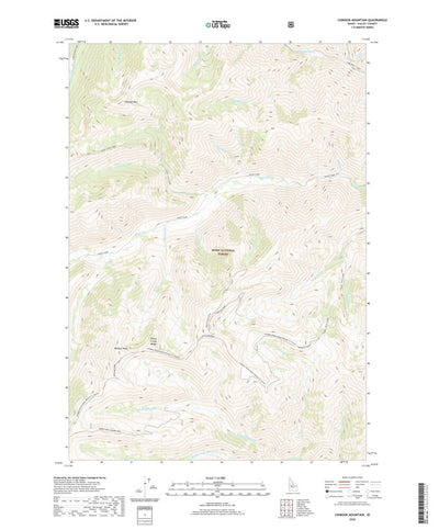 United States Geological Survey Chinook Mountain, ID (2020, 24000-Scale) digital map