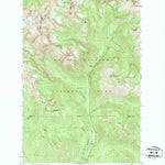 United States Geological Survey Chinook Pass, WA (1971, 24000-Scale) digital map