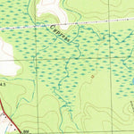 United States Geological Survey Chinquapin, NC (1981, 24000-Scale) digital map