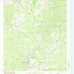 United States Geological Survey Chireno South, TX (1984, 24000-Scale) digital map