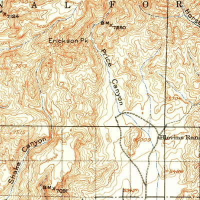 United States Geological Survey Chiricahua, AZ-NM (1917, 125000-Scale) digital map