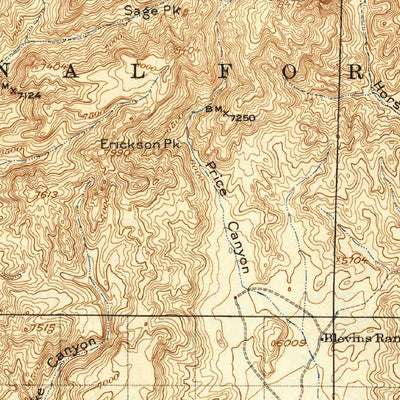 United States Geological Survey Chiricahua, AZ-NM (1919, 125000-Scale) digital map