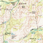 United States Geological Survey Chiricahua Peak, AZ-NM (1994, 100000-Scale) digital map