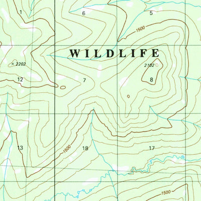 United States Geological Survey Christian C-1, AK (1983, 63360-Scale) digital map