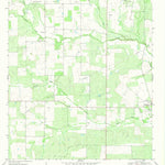 United States Geological Survey Christine West, TX (1968, 24000-Scale) digital map