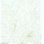 United States Geological Survey Cienega Mountains, TX (1983, 24000-Scale) digital map