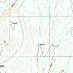 United States Geological Survey Cieneguita, TX (1983, 24000-Scale) digital map