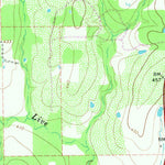 United States Geological Survey Cistern, TX (1965, 24000-Scale) digital map