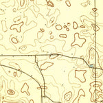 United States Geological Survey Citra, FL (1895, 62500-Scale) digital map
