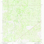 United States Geological Survey Clegg SW, TX (1969, 24000-Scale) digital map