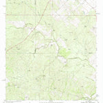 United States Geological Survey Clegg, TX (1969, 24000-Scale) digital map