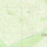 United States Geological Survey Coaldale, CO (1980, 24000-Scale) digital map