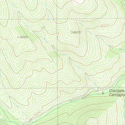 United States Geological Survey Coaldale, CO (1980, 24000-Scale) digital map