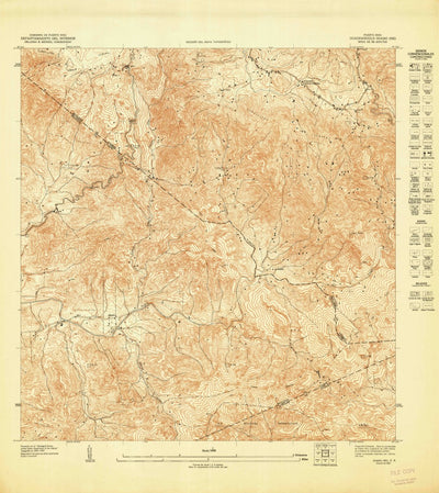 United States Geological Survey Coamo NE, PR (1947, 10000-Scale) digital map