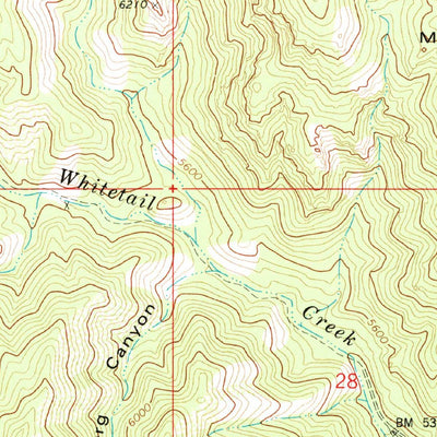 United States Geological Survey Cochise Head, AZ (1979, 24000-Scale) digital map