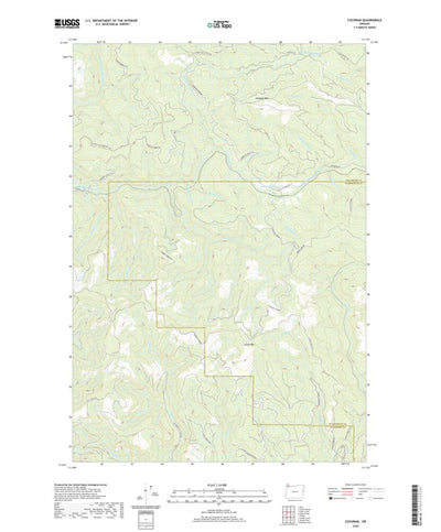 United States Geological Survey Cochran, OR (2020, 24000-Scale) digital map