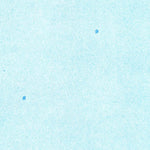 United States Geological Survey Cochrans Pass, FL (1971, 24000-Scale) digital map