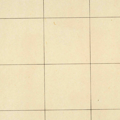 United States Geological Survey Cockroach Bay, FL (1945, 31680-Scale) digital map
