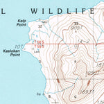 United States Geological Survey Cold Bay A-2, AK (1995, 63360-Scale) digital map