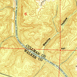 United States Geological Survey Cold Springs, AL (1951, 24000-Scale) digital map