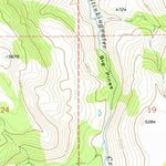 United States Geological Survey Coleman Mountain, OR (1979, 24000-Scale) digital map
