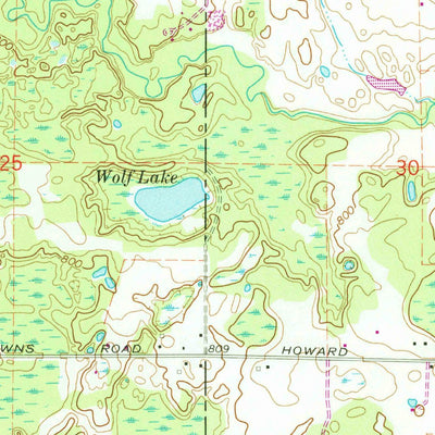United States Geological Survey Coleman NE, MI (1969, 24000-Scale) digital map
