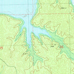 United States Geological Survey Coles Point, MS (1980, 24000-Scale) digital map
