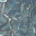United States Geological Survey Colesburg, IA (2010, 24000-Scale) digital map