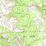 United States Geological Survey Collins Creek SW, TX (1965, 24000-Scale) digital map