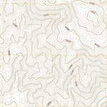 United States Geological Survey Collins Valley, CA (2021, 24000-Scale) digital map