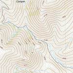 United States Geological Survey Comegys Lake, OR (2020, 24000-Scale) digital map