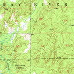 United States Geological Survey Comins, MI (1955, 62500-Scale) digital map