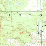 United States Geological Survey Comins, MI (1986, 24000-Scale) digital map