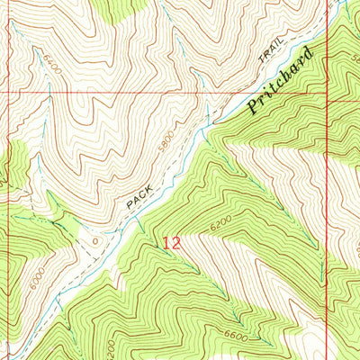 United States Geological Survey Conant Valley, ID (1966, 24000-Scale) digital map